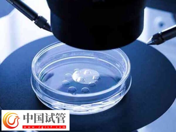 天津武警特色醫學中心做試管嬰兒成功率多少(圖1)