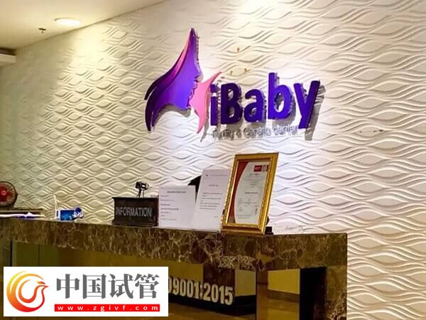 泰國(guó)三代試管嬰兒人均消費(fèi)15s知,附適應(yīng)癥(圖2) 泰國(guó)三代試管嬰兒人均消費(fèi)15s知,附適應(yīng)癥(圖2)