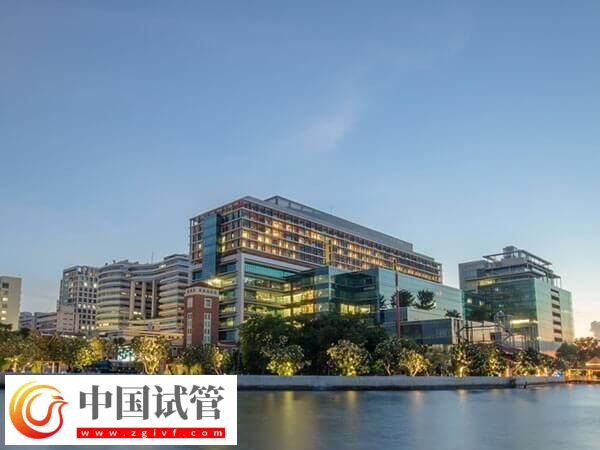 泰國(guó)三代試管嬰兒人均消費(fèi)15s知,附適應(yīng)癥(圖1) 泰國(guó)三代試管嬰兒人均消費(fèi)15s知,附適應(yīng)癥(圖1)