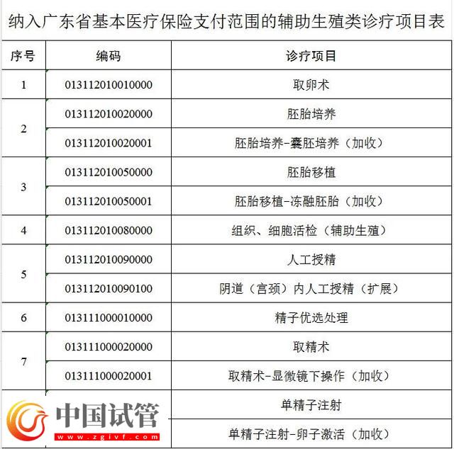 “試管嬰兒項(xiàng)目”可刷醫(yī)保!廣東最新政策,10月1日起實(shí)施(圖2) “試管嬰兒項(xiàng)目”可刷醫(yī)保!廣東最新政策,10月1日起實(shí)施(圖2)
