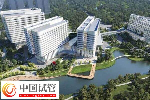 杭州試管嬰兒花銷解讀,附邵逸夫醫(yī)院助孕流程(圖1) 杭州試管嬰兒花銷解讀,附邵逸夫醫(yī)院助孕流程(圖1)