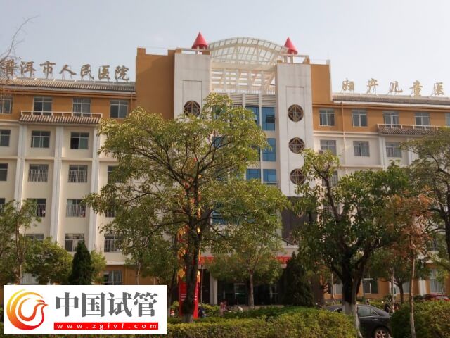 普洱試管嬰兒花銷公開，卡里沒3萬再等等！(圖2)