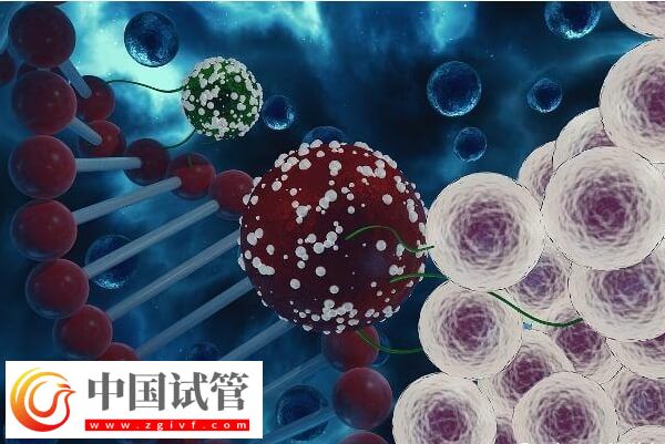 晉中人工授精如何收費(fèi)(圖1) 晉中人工授精如何收費(fèi)(圖1)