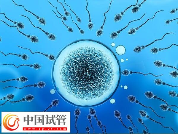 呂梁人工授精成功率高不高(圖1) 呂梁人工授精成功率高不高(圖1)