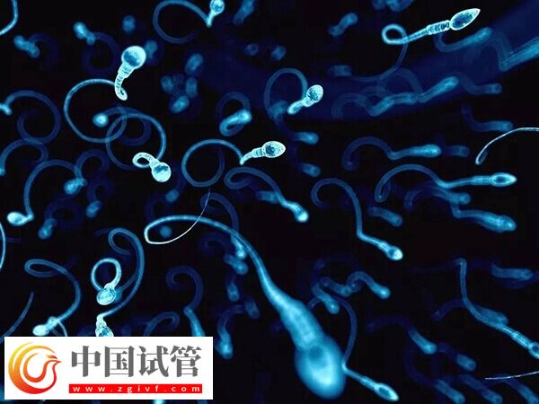 錦州供精人授醫院哪家好(圖1)