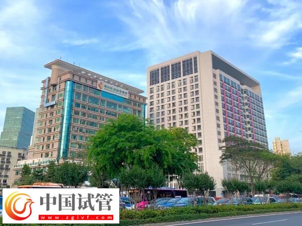 深圳三代試管嬰兒價格概覽,從檢查到基因篩查遠(yuǎn)高于4萬!(圖1) 深圳三代試管嬰兒價格概覽,從檢查到基因篩查遠(yuǎn)高于4萬!(圖1)