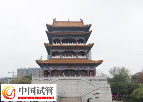 宜春試管嬰兒醫(yī)院有哪些(圖1) 宜春試管嬰兒醫(yī)院有哪些(圖1)