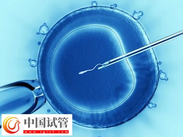 周口不孕不育醫院哪家好(圖4) 周口不孕不育醫院哪家好(圖4)