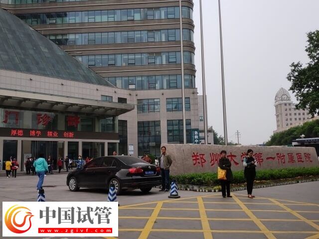 周口能不能做試管嬰兒(圖2) 周口能不能做試管嬰兒(圖2)