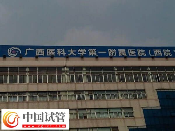 南寧生殖機(jī)構(gòu)top5全在這,哪家助孕率高一清二楚!(圖2) 南寧生殖機(jī)構(gòu)top5全在這,哪家助孕率高一清二楚!(圖2)