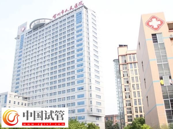 賀州能不能做試管嬰兒(圖1) 賀州能不能做試管嬰兒(圖1)