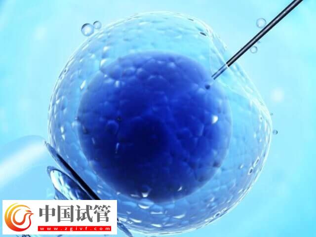 梧州試管嬰兒成功率高不高(圖2) 梧州試管嬰兒成功率高不高(圖2)