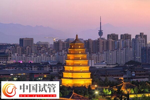 河池哪些不孕不育醫院好(圖1) 河池哪些不孕不育醫院好(圖1)