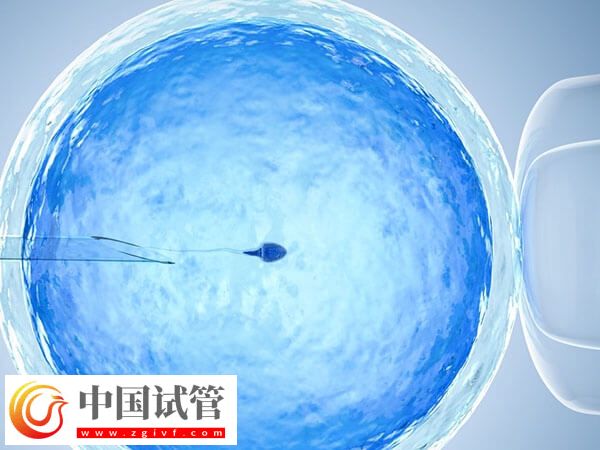 臨汾人民醫(yī)院試管流程有哪些(圖1) 臨汾人民醫(yī)院試管流程有哪些(圖1)