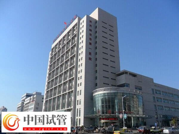 齊齊哈爾第一醫院做試管能不能用醫保(圖1)