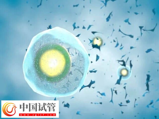 試管移植宮外孕有沒有感覺(圖1)