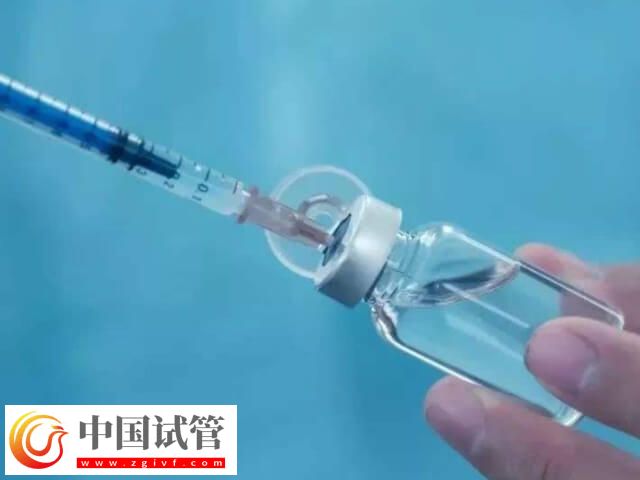 取17個卵配幾個胚胎(圖1)