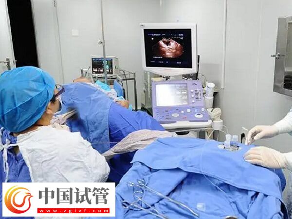 自然周期取卵前能不能同房(圖1)