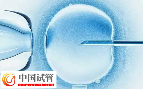 河南省人民醫(yī)院供卵等多久(圖2) 河南省人民醫(yī)院供卵等多久(圖2)