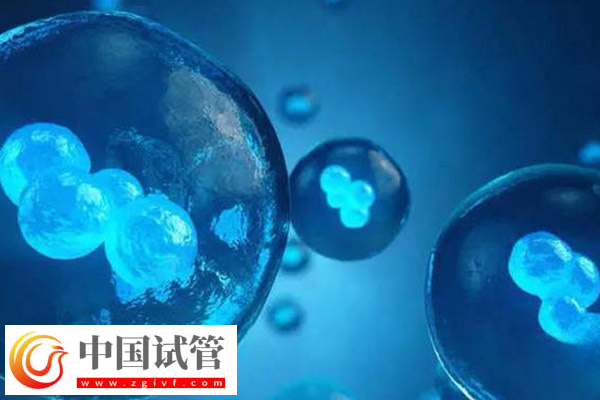 前往柬埔寨凍卵的價格(圖2) 前往柬埔寨凍卵的價格(圖2)