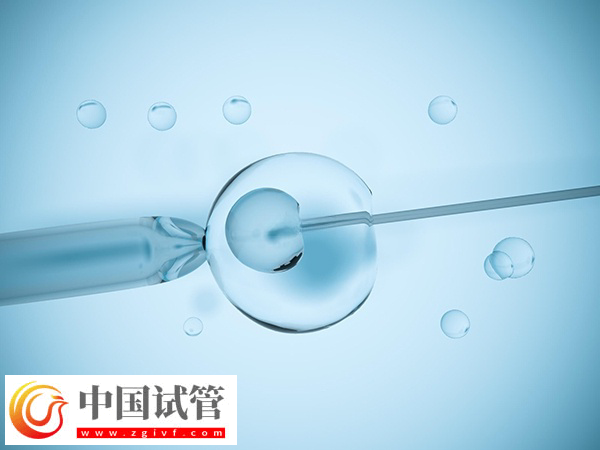 單身在馬來西亞做試管違不違法(圖1) 單身在馬來西亞做試管違不違法(圖1)