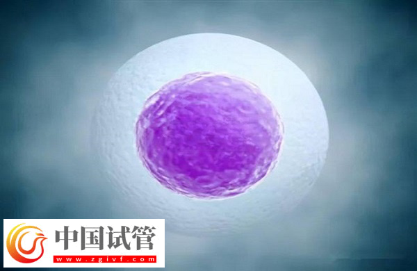 單身在馬來西亞做試管違不違法(圖2) 單身在馬來西亞做試管違不違法(圖2)