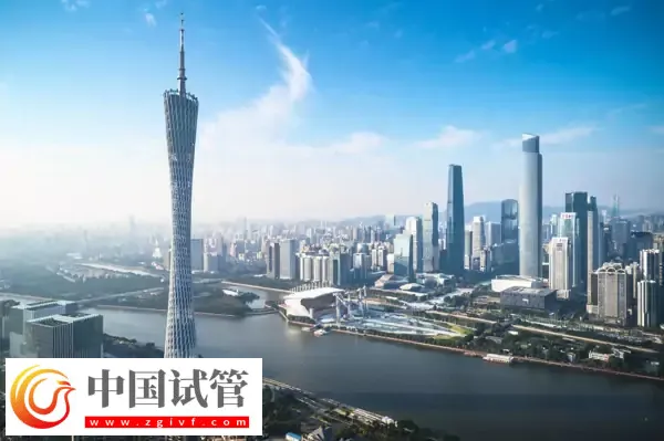 廣州單身試管嬰兒預約流程(圖1)