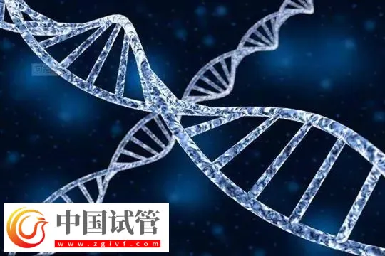 臺州醫院單身女性怎么生孩子？附單身試管的步驟流程(圖1)