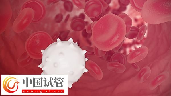 血常規(guī)五項是哪五項(圖2)