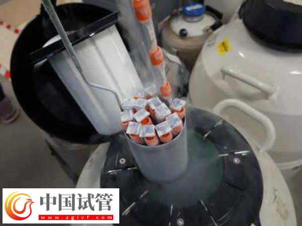 前往加拿大做供精試管的要求是什么(圖2)