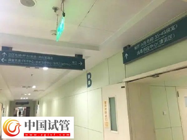 2025加拿大供卵是否違法(圖2) 2025加拿大供卵是否違法(圖2)