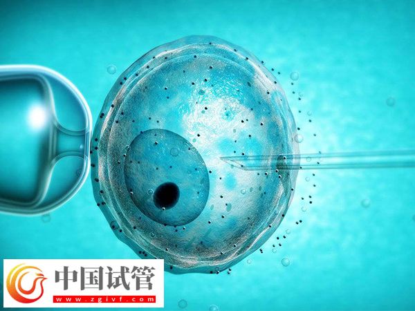 2025加拿大試管一個治療周期是多久(圖1) 2025加拿大試管一個治療周期是多久(圖1)