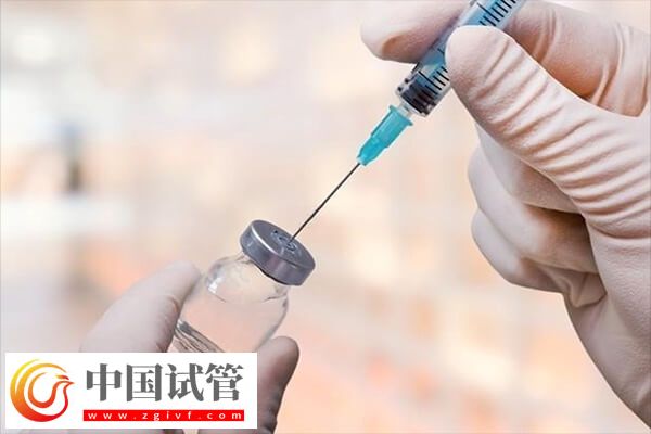 促排為什么只有一側(cè)有卵泡(圖1) 促排為什么只有一側(cè)有卵泡(圖1)