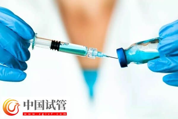 超長方案卵泡少是好事還是壞事(圖2) 超長方案卵泡少是好事還是壞事(圖2)