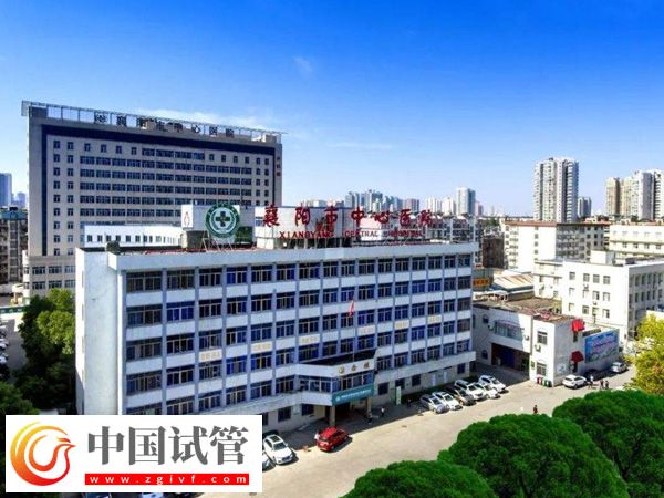 襄陽(yáng)市中心醫(yī)院試管男還是女多(圖1)