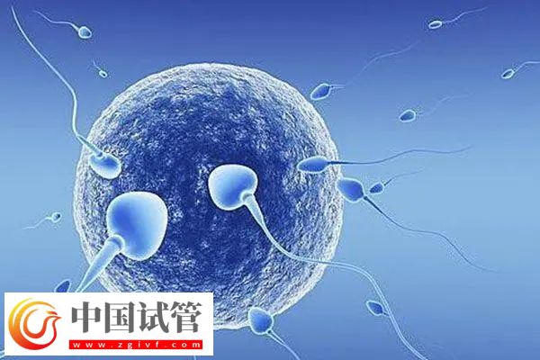 南京做試管醫(yī)保報(bào)銷比例(圖2) 南京做試管醫(yī)保報(bào)銷比例(圖2)