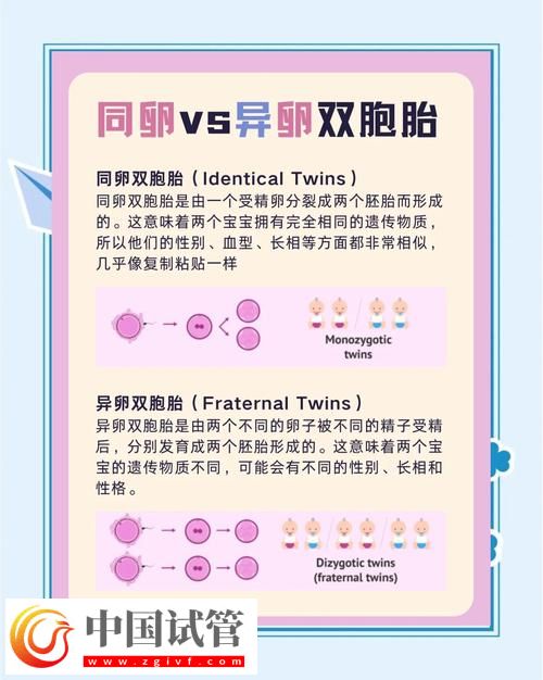 三代試管嬰兒雙胞胎方案詳解(圖1) 三代試管嬰兒雙胞胎方案詳解(圖1)