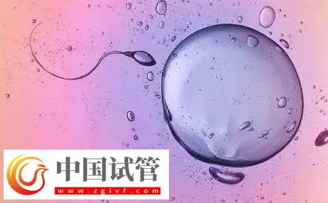 杭州私立醫院做三代試管怎么樣？附包生男孩費用一覽表介紹(圖3)