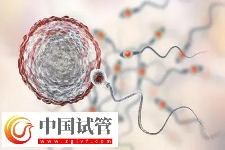 杭州私立醫院做三代試管怎么樣？附包生男孩費用一覽表介紹(圖2)