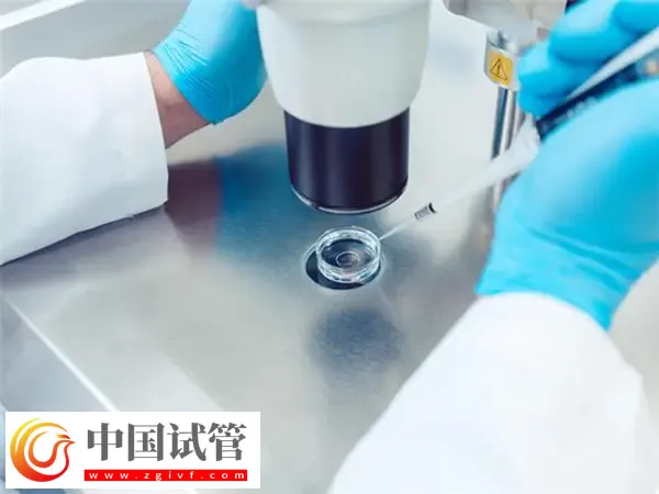 濟南生殖醫院排行前十名單匯總:山大齊魯與山東省婦幼保健院都在榜(圖1) 濟南生殖醫院排行前十名單匯總:山大齊魯與山東省婦幼保健院都在榜(圖1)