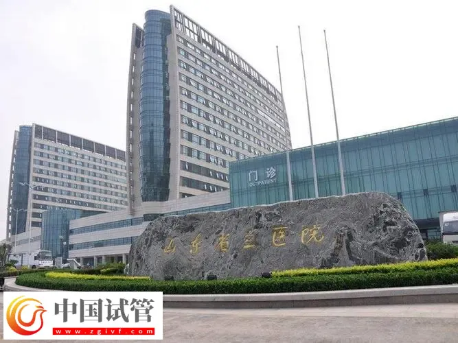 濟南2025試管助孕代/懷產子機構名單,附流程與費用介紹(圖2) 濟南2025試管助孕代/懷產子機構名單,附流程與費用介紹(圖2)