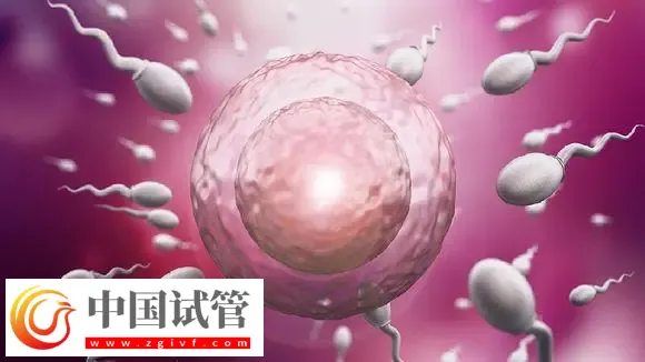 深圳試管助孕怎么樣,附費用,流程,機構等信息一覽(圖1) 深圳試管助孕怎么樣,附費用,流程,機構等信息一覽(圖1)