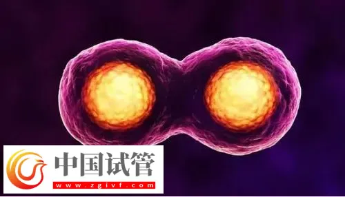 深圳試管助孕怎么樣,附費用,流程,機構等信息一覽(圖3) 深圳試管助孕怎么樣,附費用,流程,機構等信息一覽(圖3)