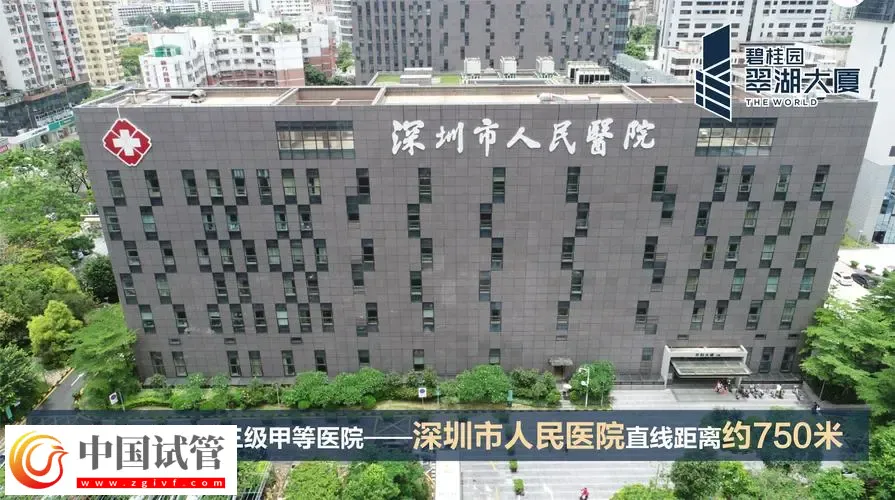 深圳試管助孕怎么樣,附費用,流程,機構等信息一覽(圖4) 深圳試管助孕怎么樣,附費用,流程,機構等信息一覽(圖4)