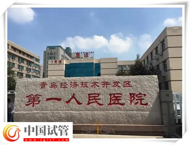 青島做試管最好的醫院top10名單匯總:青島大學附屬醫院位列榜首(圖3) 青島做試管最好的醫院top10名單匯總:青島大學附屬醫院位列榜首(圖3)
