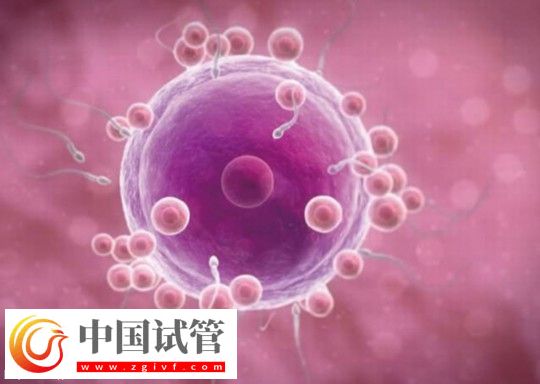 廣西三代試管助孕生孩子費用清單公布：最低九萬起(圖1)