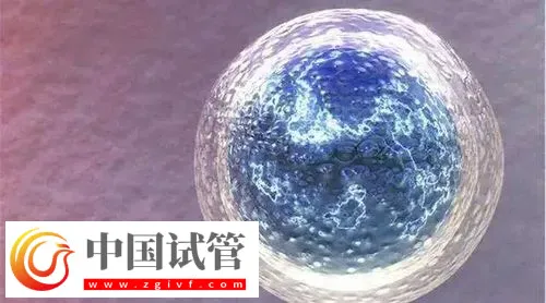 鄭州做試管比較出名的醫院前三名，附三代包生男孩費用介紹(圖1)