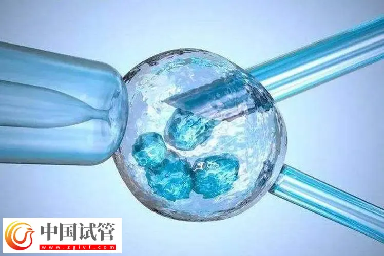 北京試管助孕大概要多少錢?這是2024最新收費標準(圖3) 北京試管助孕大概要多少錢?這是2024最新收費標準(圖3)