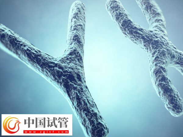 烏克蘭irm醫院到底好不好(圖2)