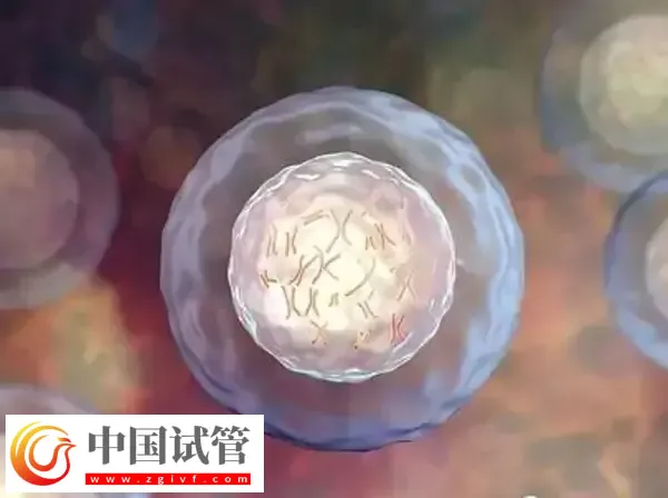 為什么俄羅斯試管成功率那么高(圖1)